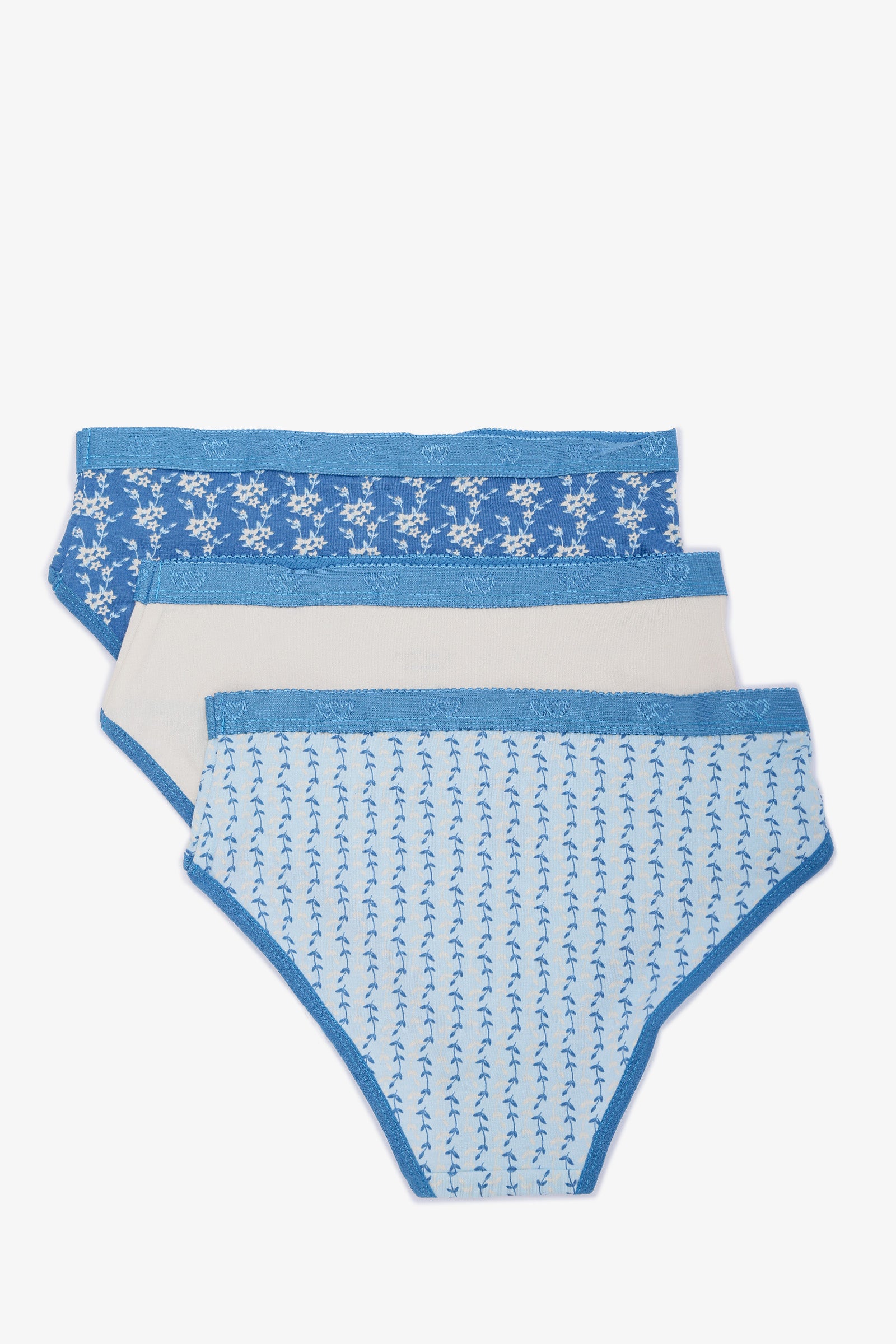 Pack of 3 Colored Brief Panties