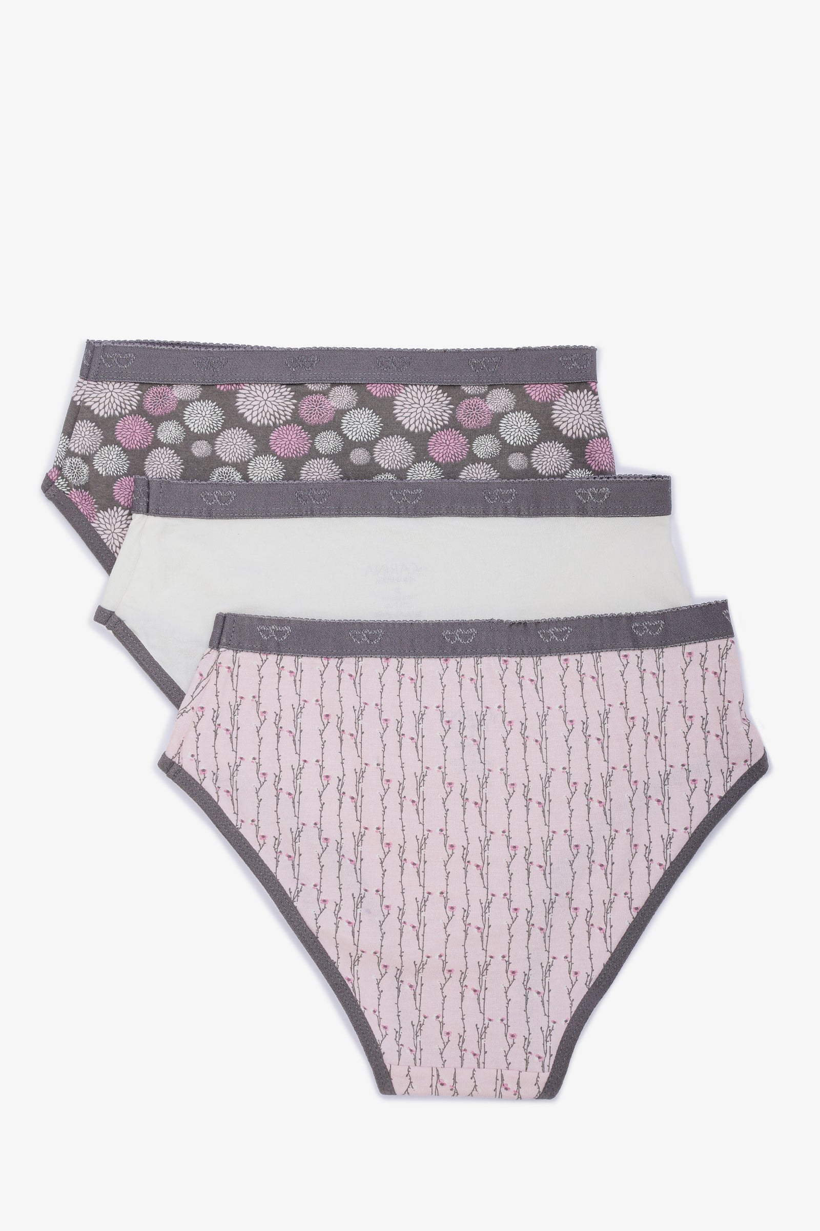 Pack of 3 Colored Brief Panties
