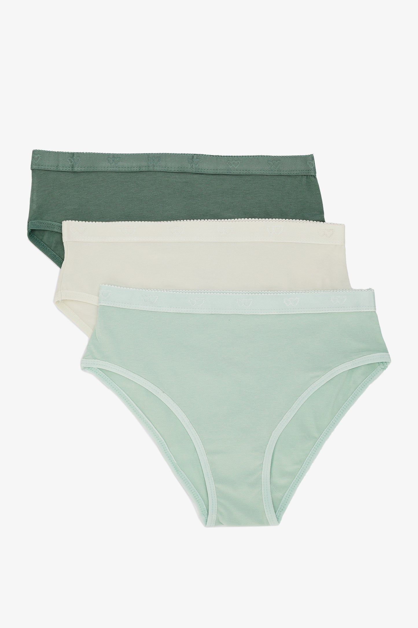 Pack of 3 Colored Brief Panties