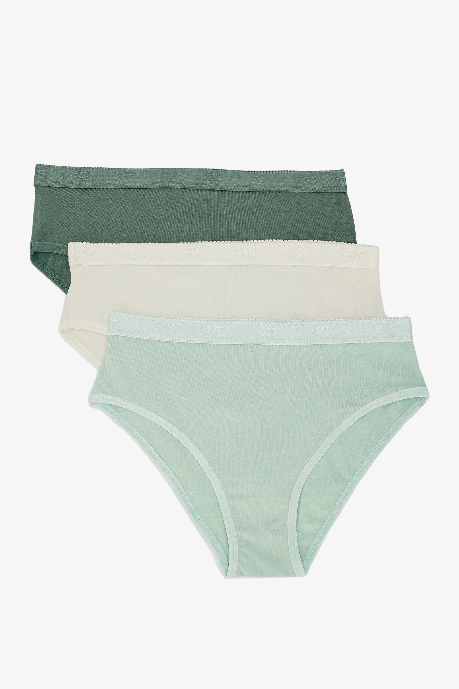Pack of 3 Colored Brief Panties