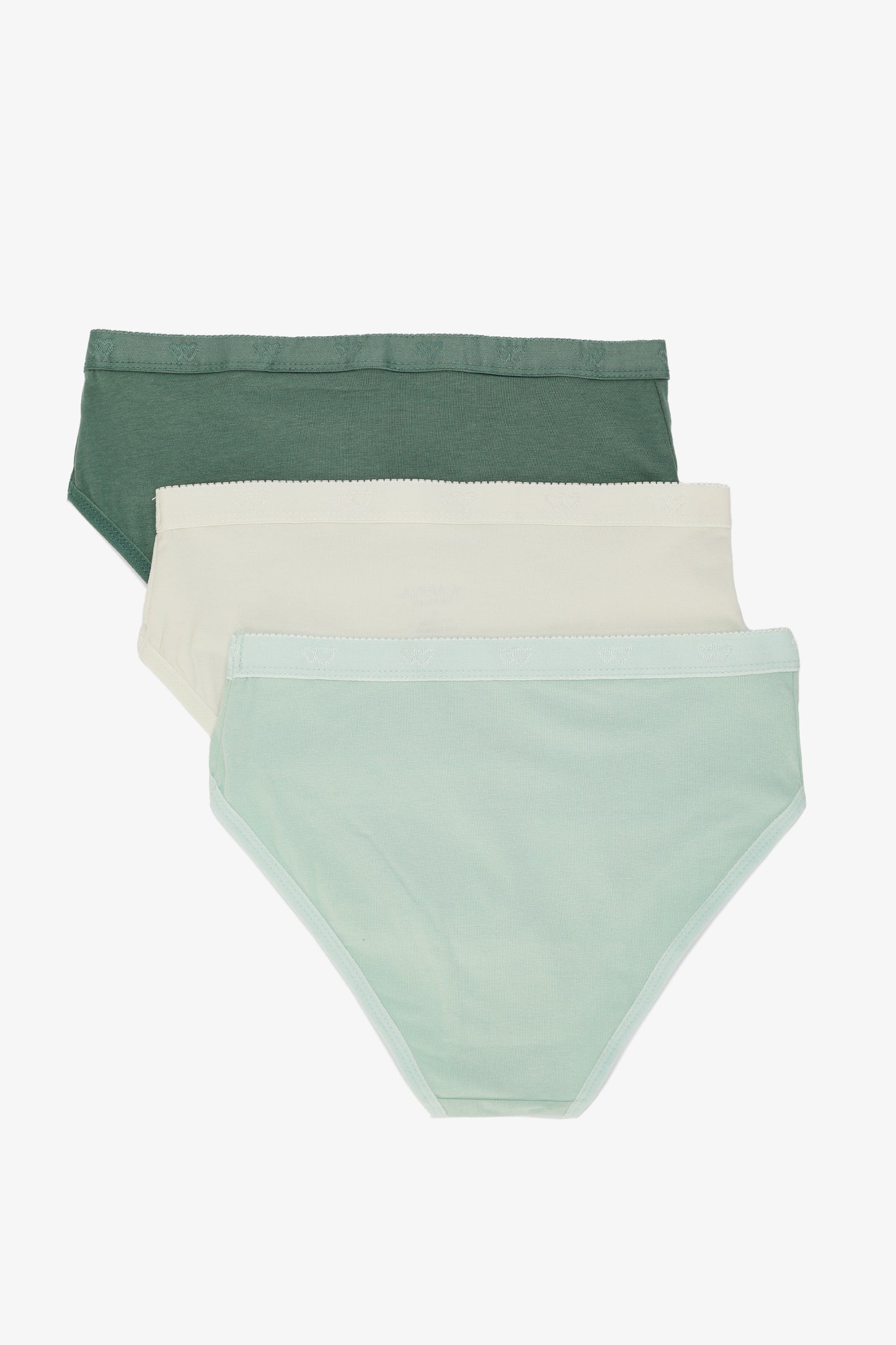 Pack of 3 Colored Brief Panties