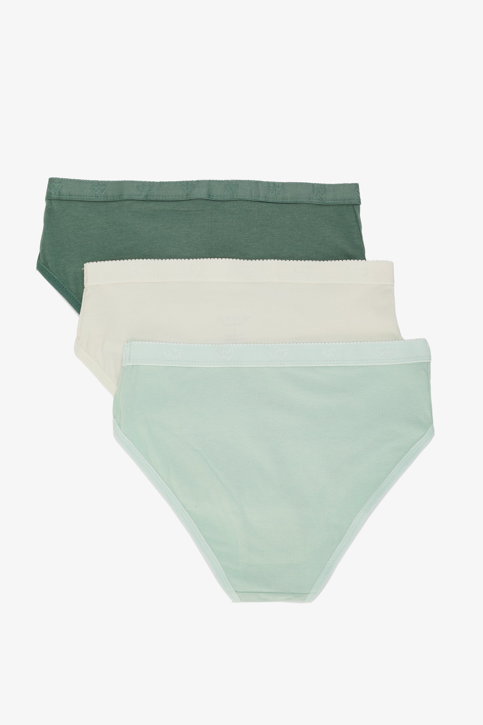 Pack of 3 Colored Brief Panties