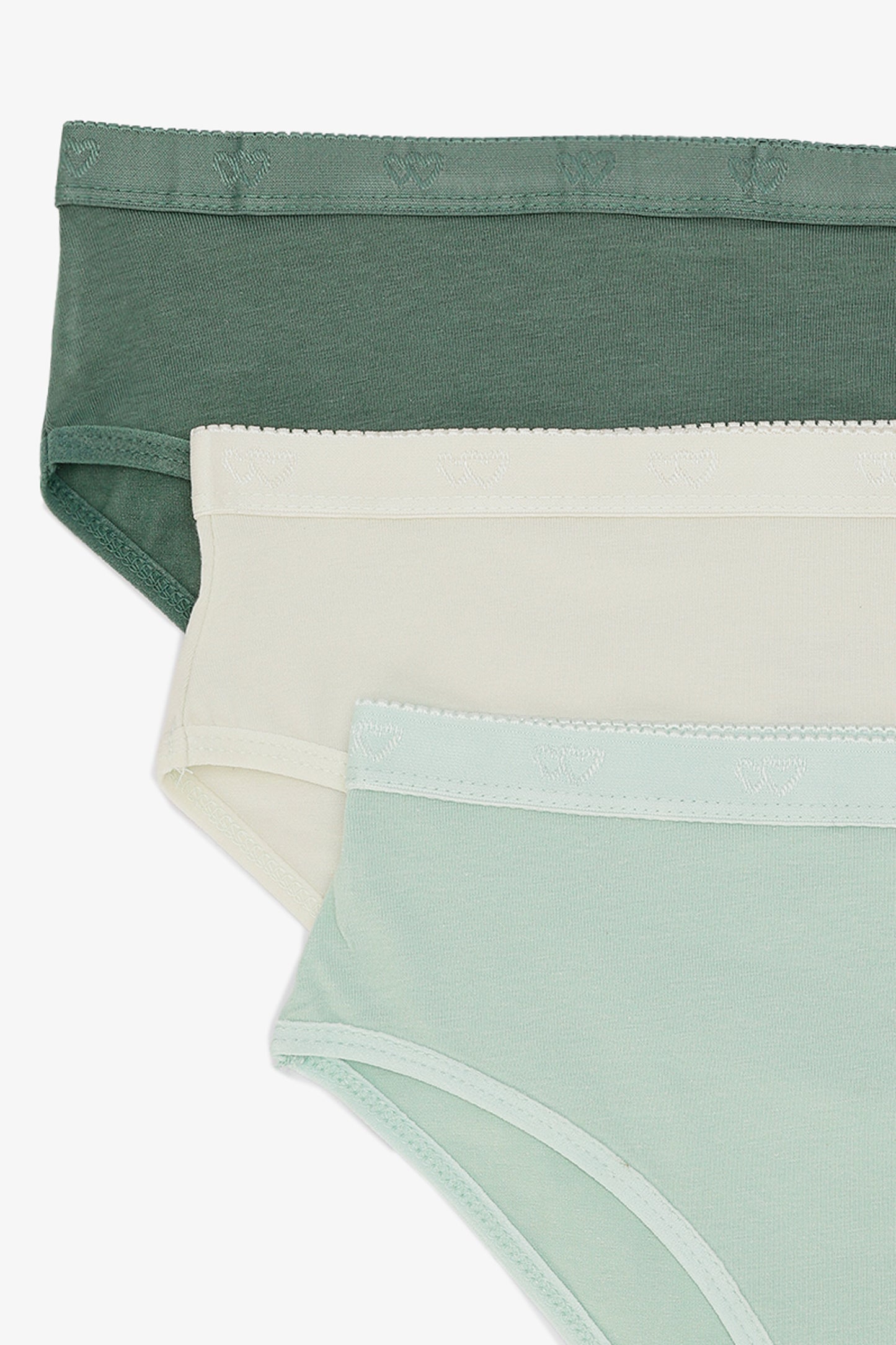 Pack of 3 Colored Brief Panties