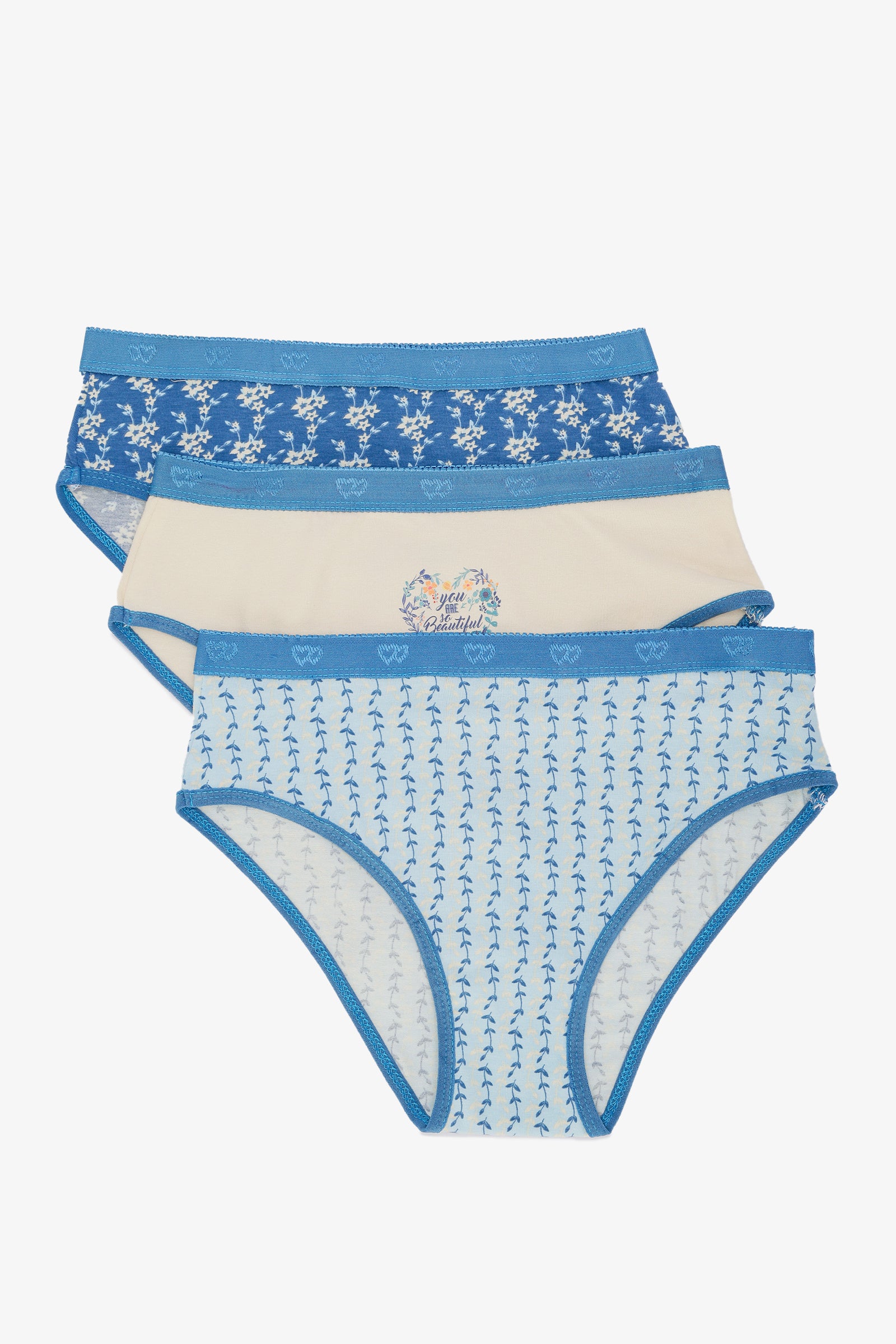 Pack of 3 Colored Brief Panties
