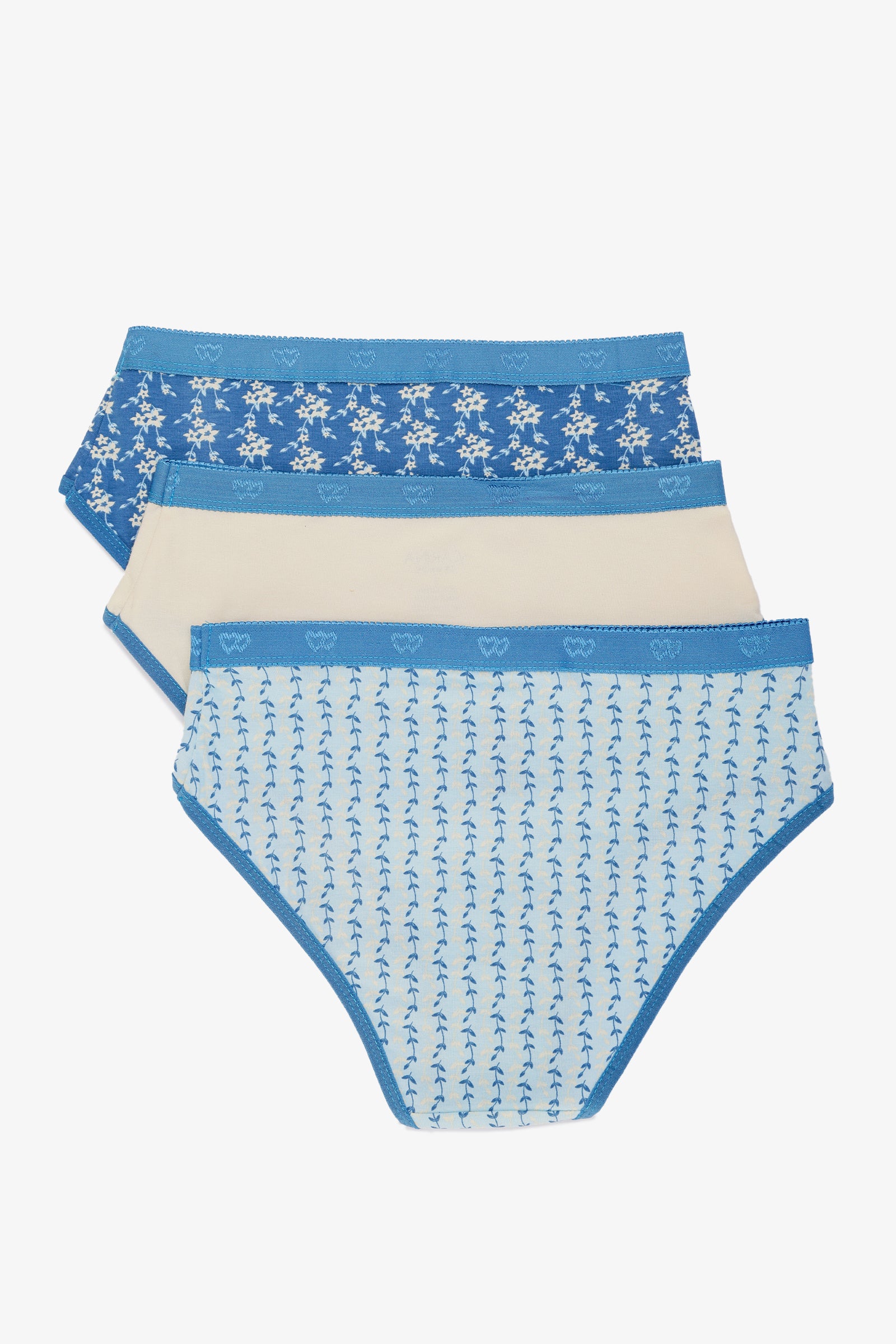 Pack of 3 Colored Brief Panties
