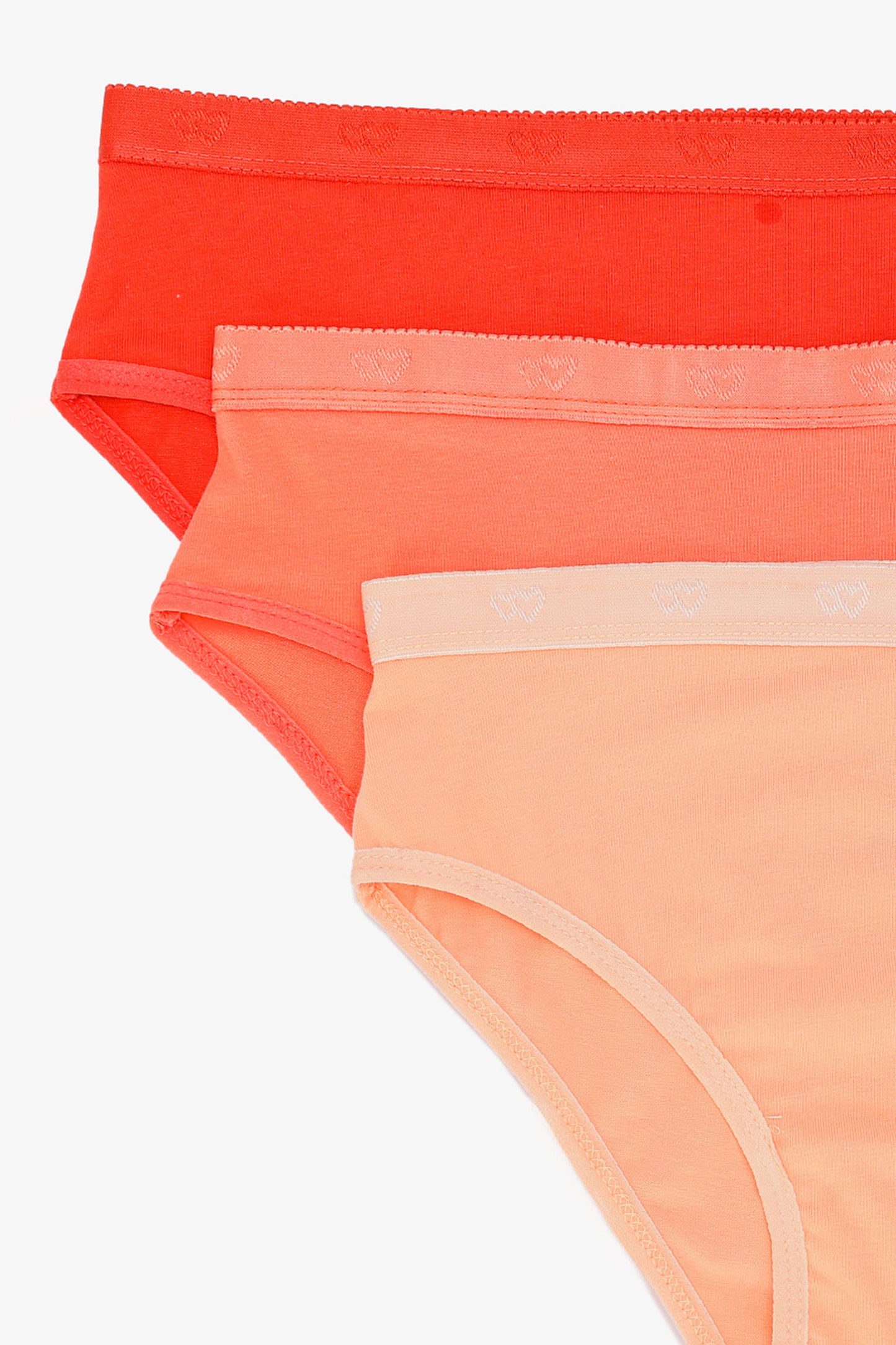 Pack of 3 Colored Brief Panties
