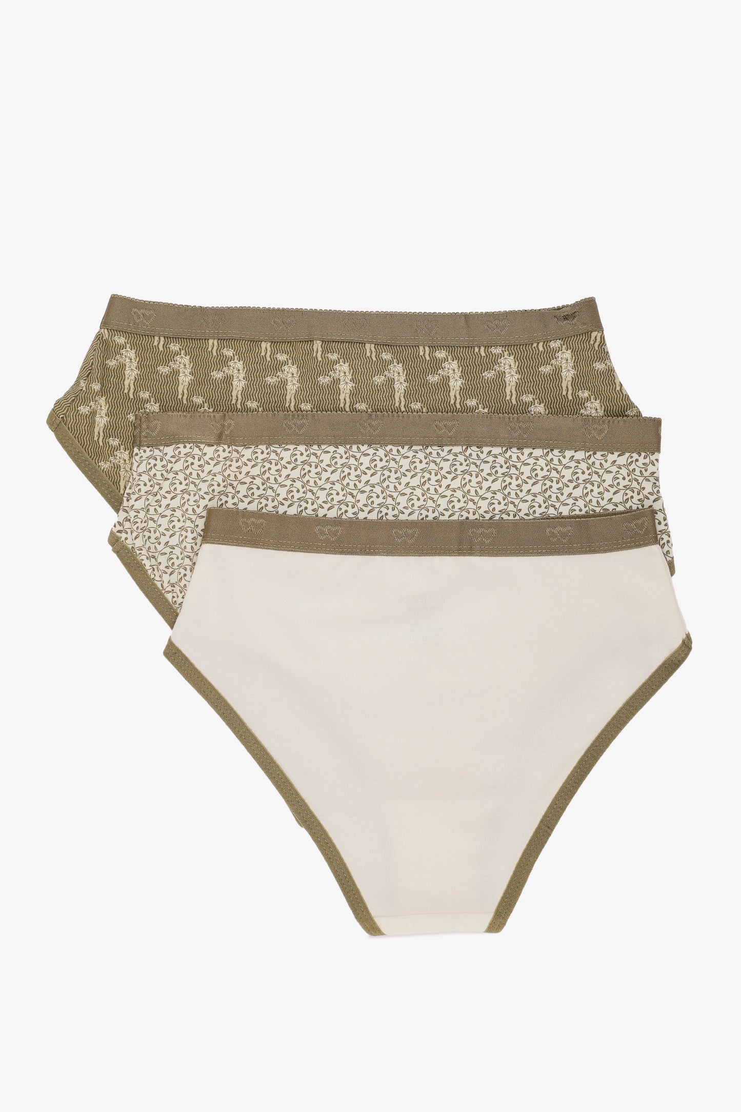 Pack of 3 Colored Brief Panties