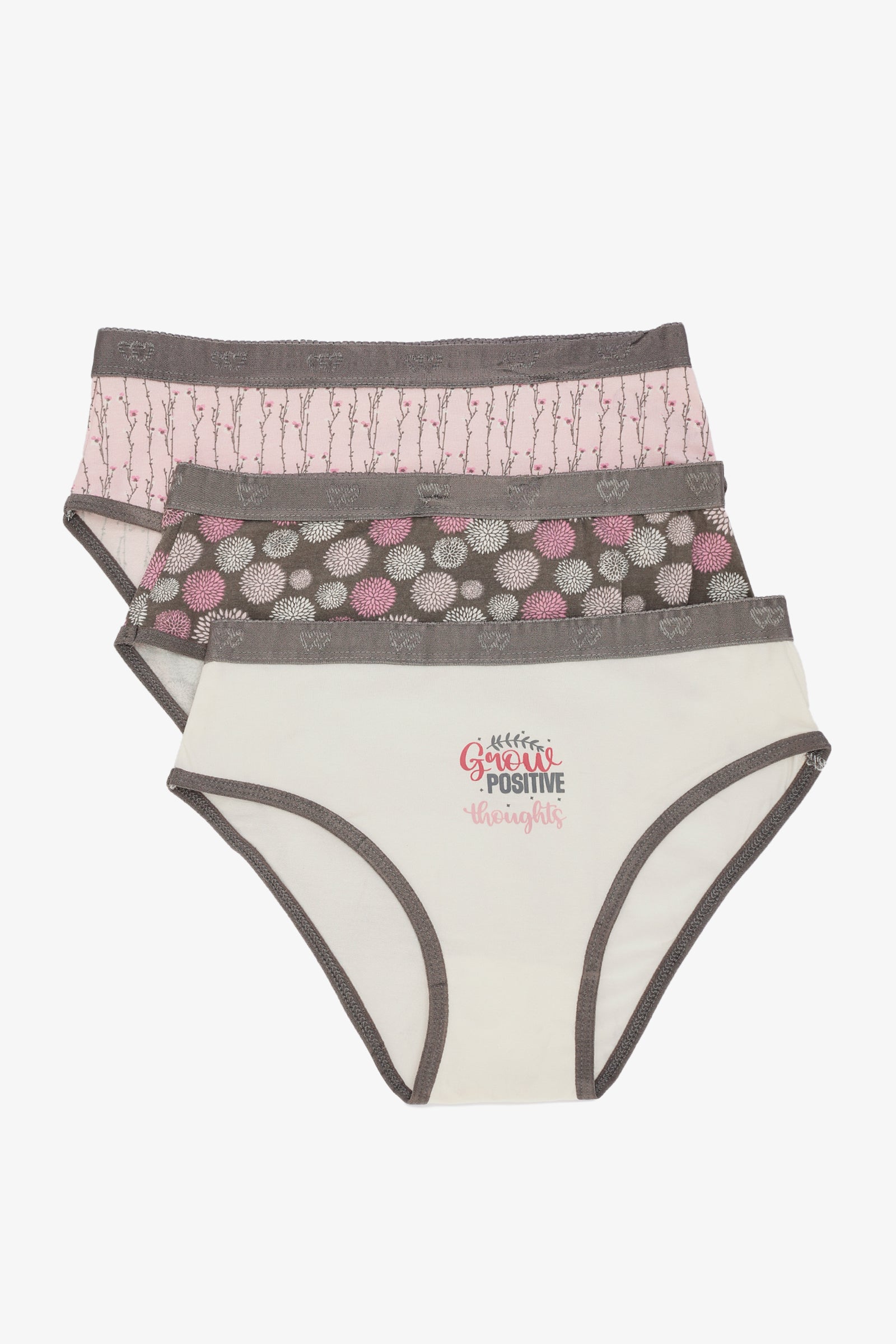 Pack of 3 Colored Brief Panties