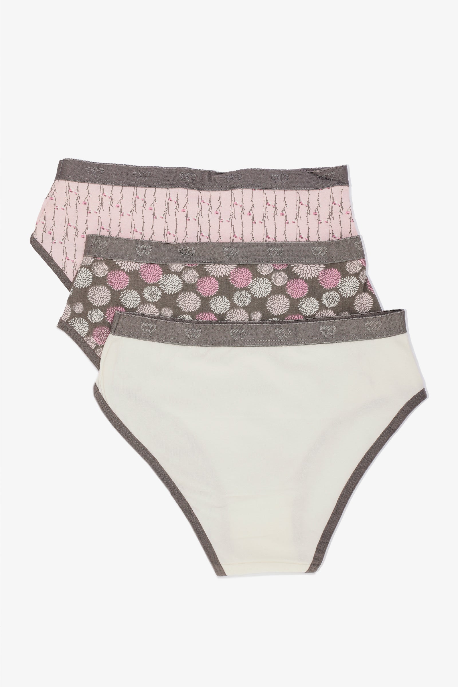 Pack of 3 Colored Brief Panties