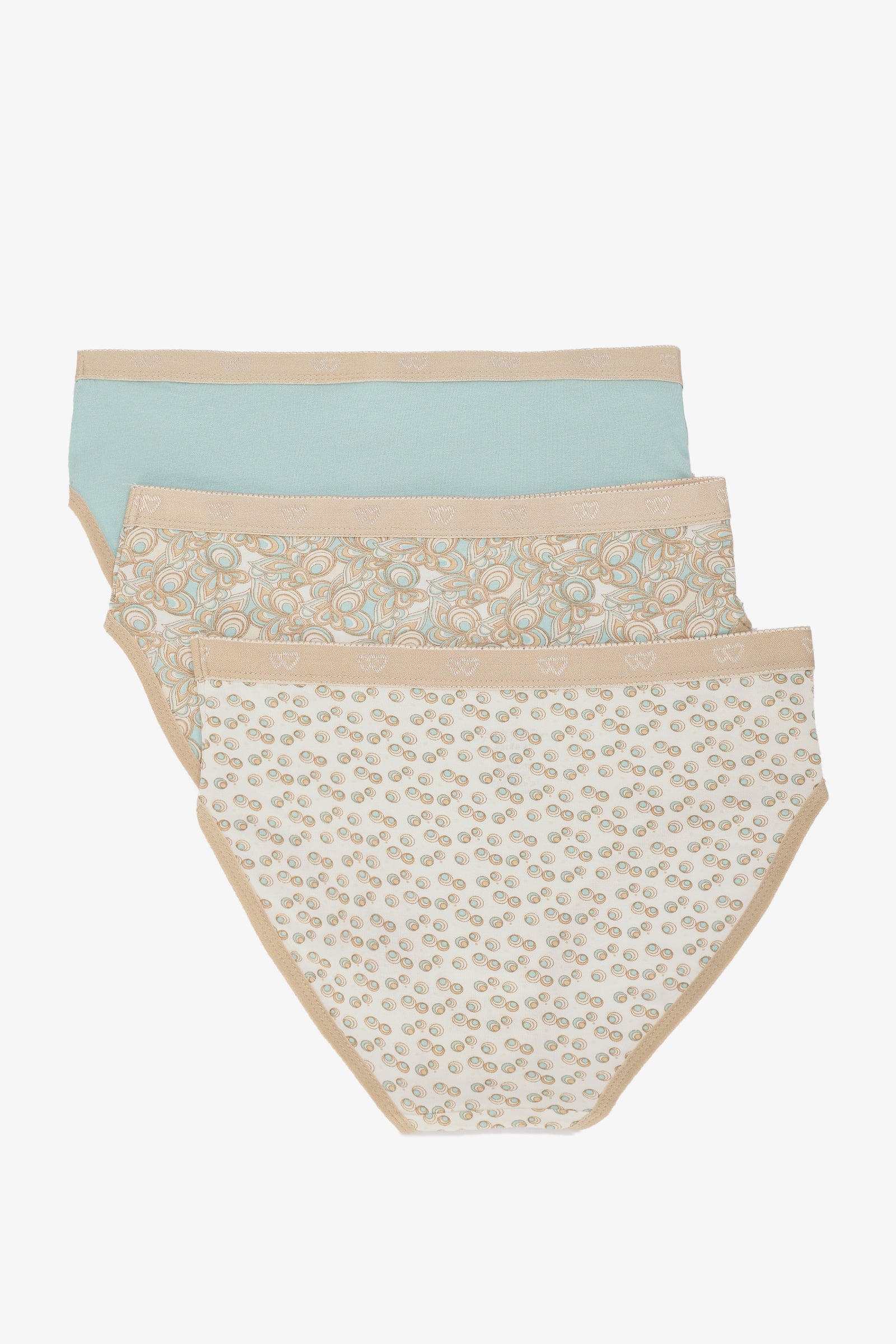 Pack of 3 Colored Brief Panty