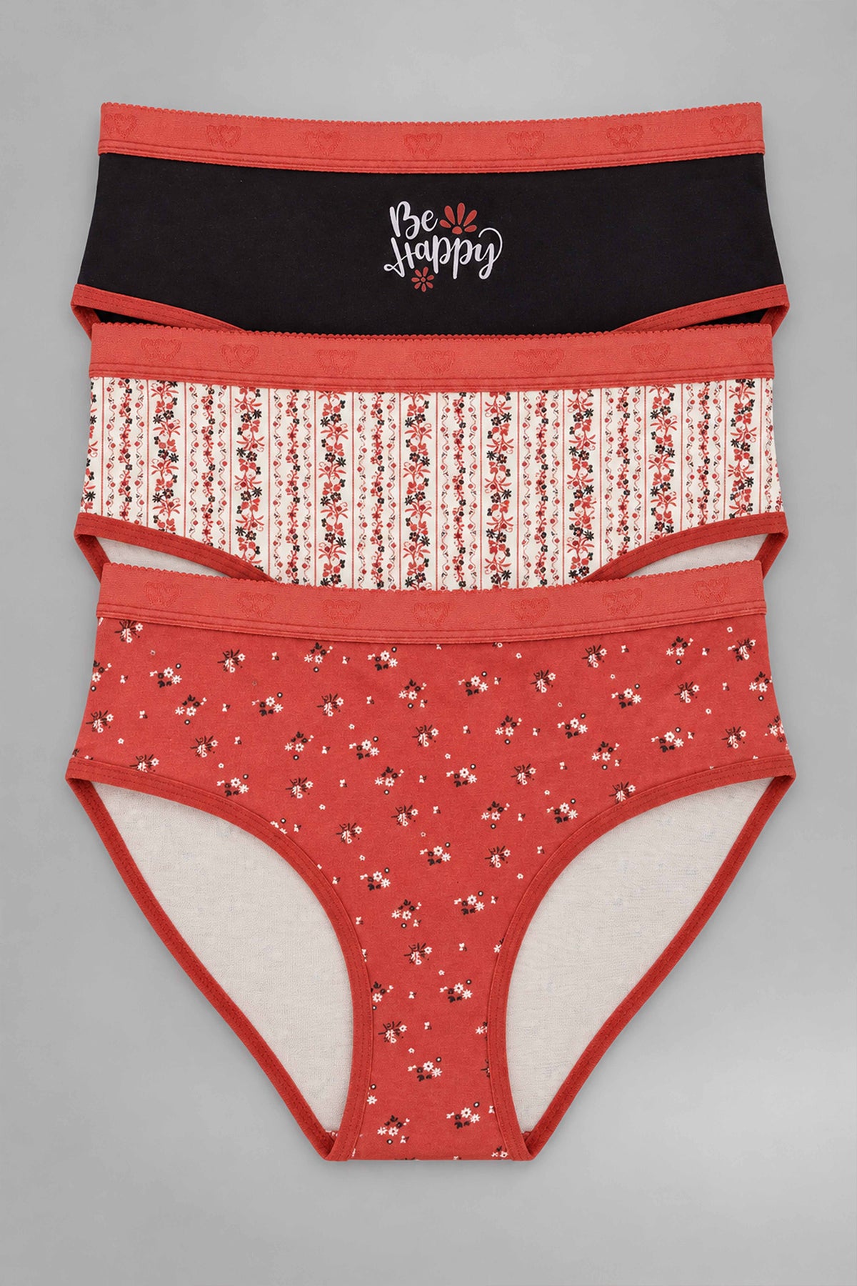 Pack of 3 Colored Brief Panties