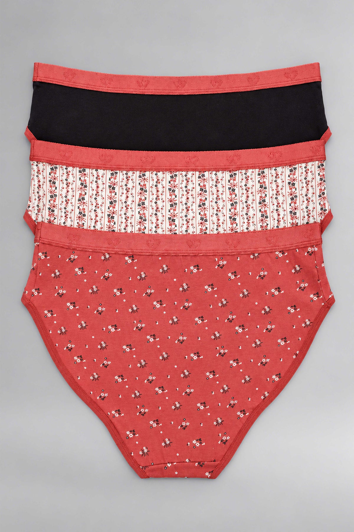 Pack of 3 Colored Brief Panties