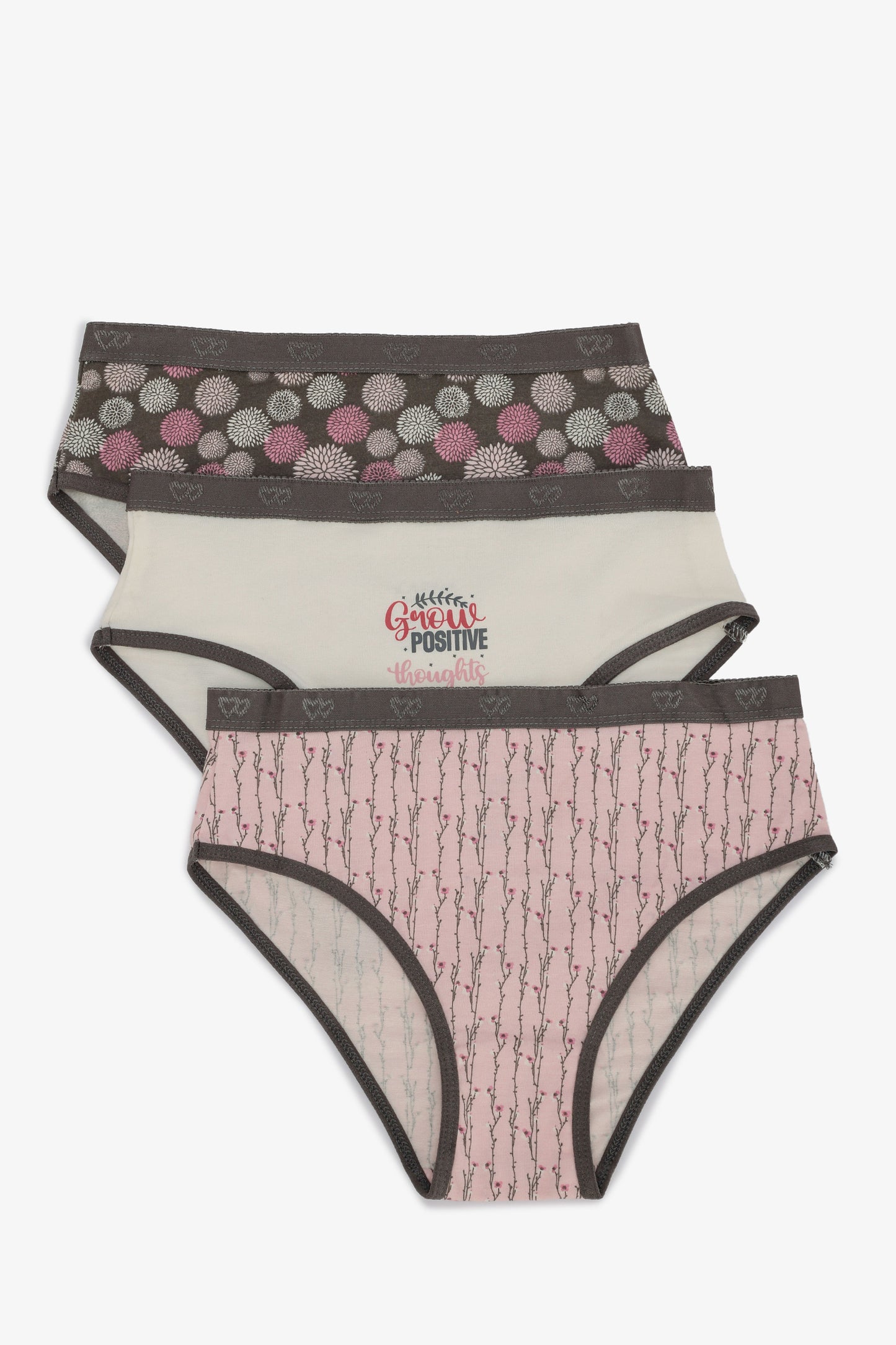 Pack of 3 Colored Brief Panties