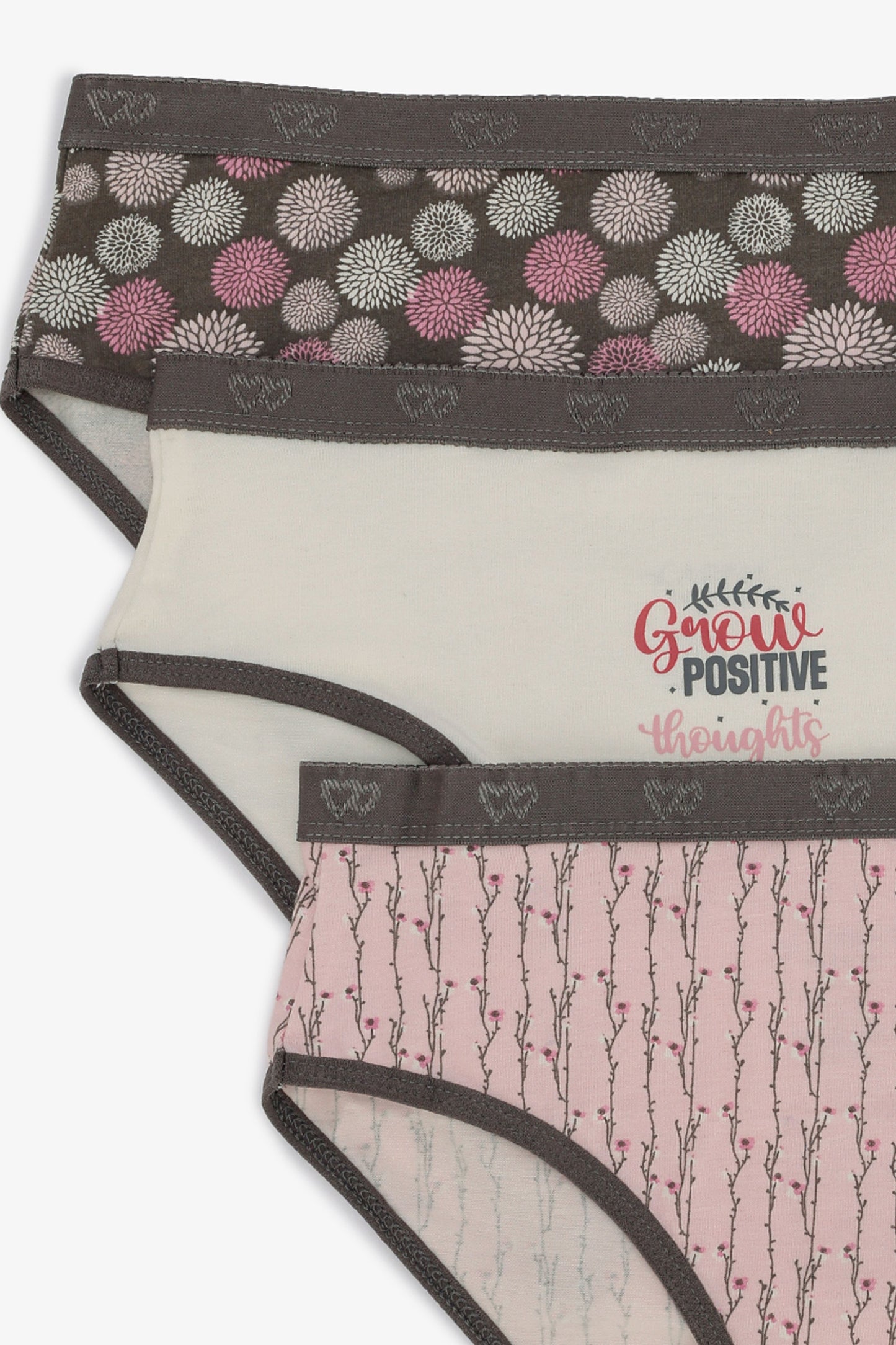 Pack of 3 Colored Brief Panties