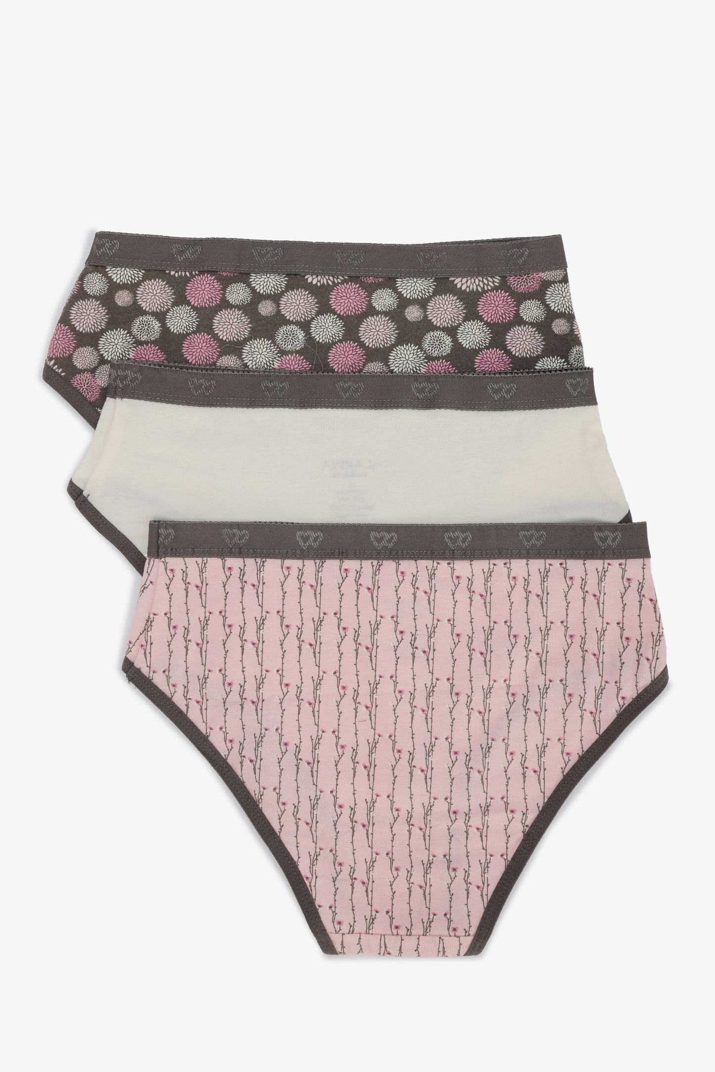 Pack of 3 Colored Brief Panties