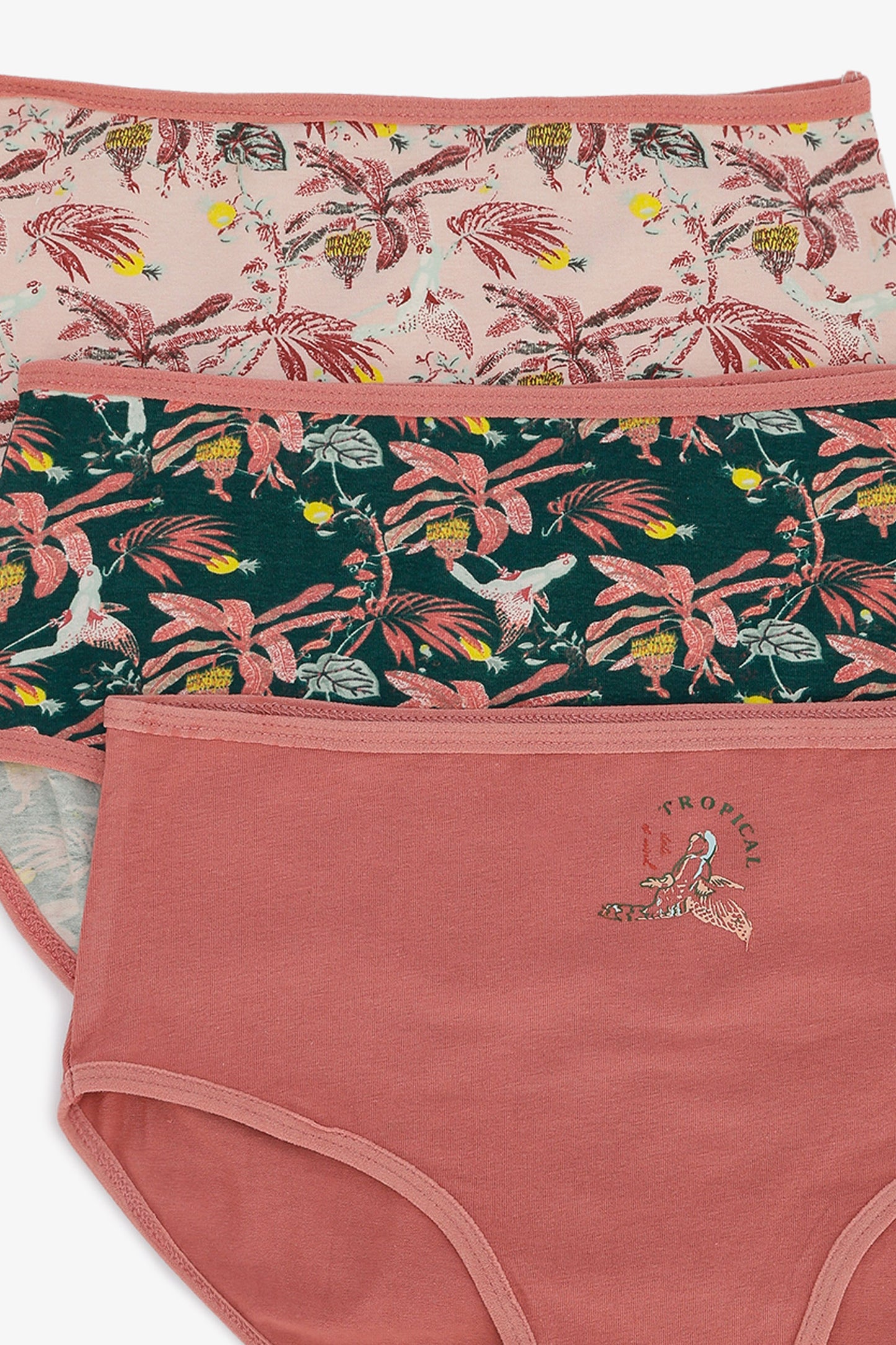 Pack of 3 Colored Brief Panties