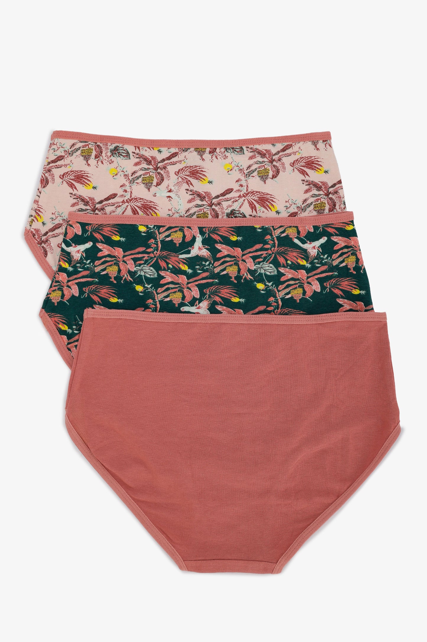 Pack of 3 Colored Brief Panties