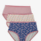 Pack of 3 Colored Brief Panty