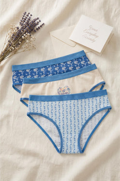 Pack of 3 Colored Brief Panties