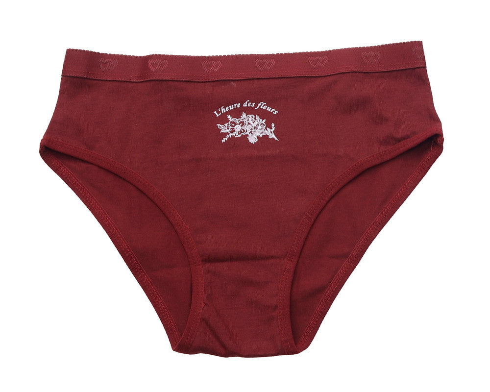 Pack of 3 Brief Panties