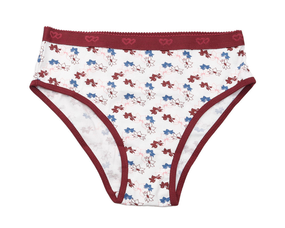 Pack of 3 Brief Panties