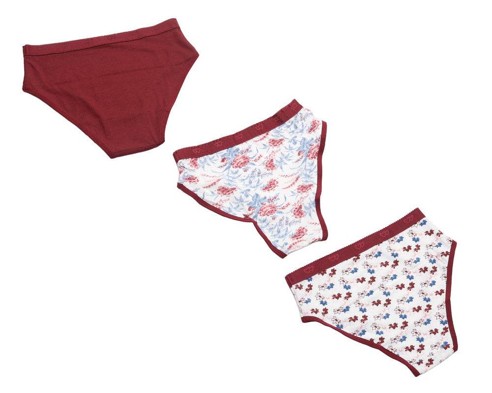 Pack of 3 Brief Panties