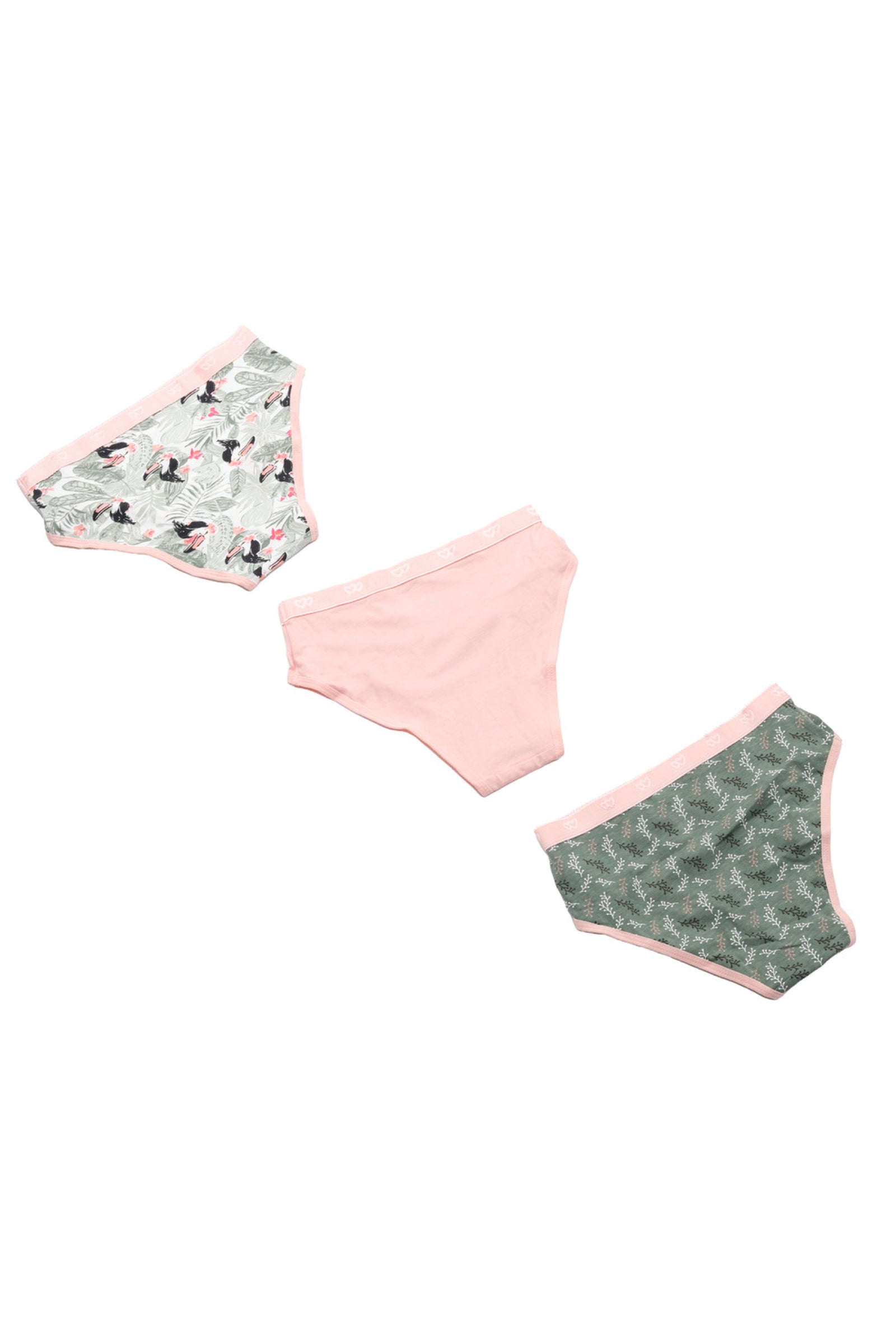 Pack of 3 Colored Brief Panties
