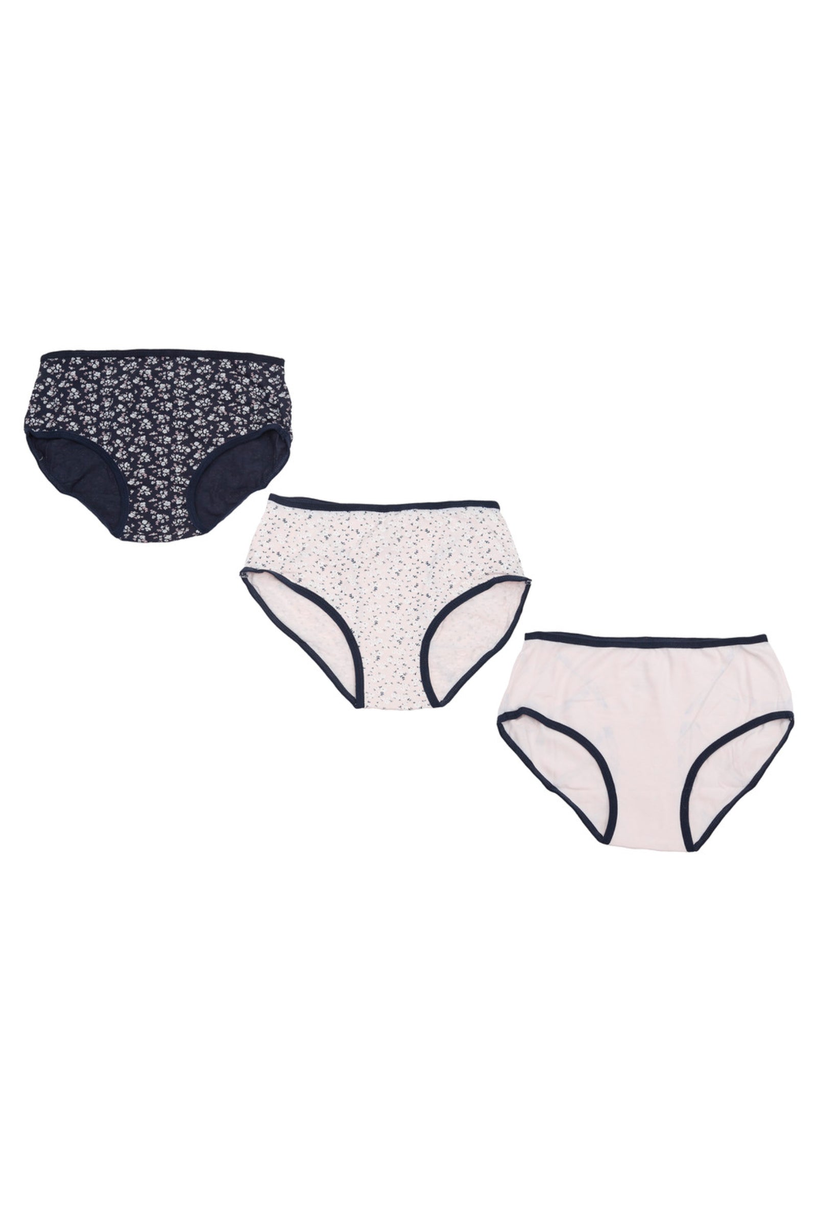 Pack of 3 Colored Brief Panties