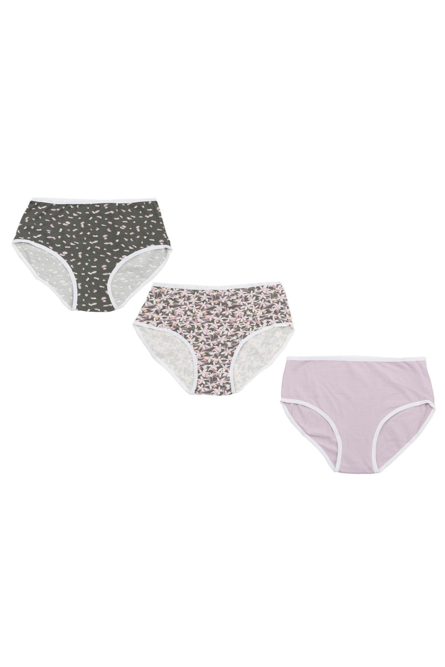 Pack of 3 Colored Brief Panties