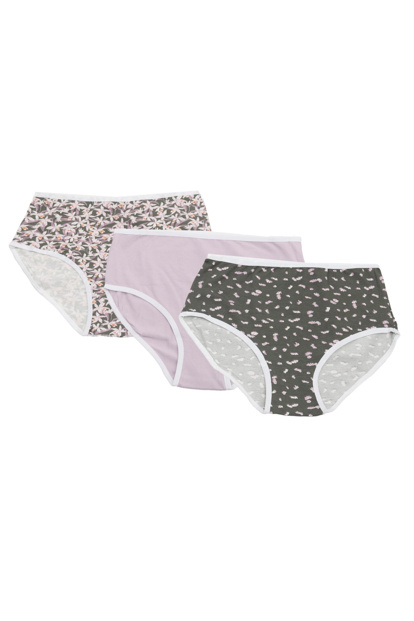 Pack of 3 Colored Brief Panties