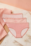 Pack of 3 Colored Brief Panties