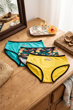 Pack of 3 Colored Brief Panties