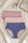Pack of 3 Colored Brief Panty