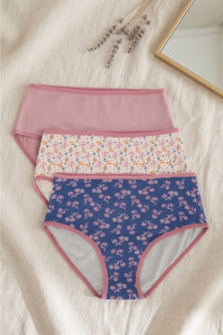 Pack of 3 Colored Brief Panty