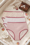 Pack of 3 Colored Brief Panties