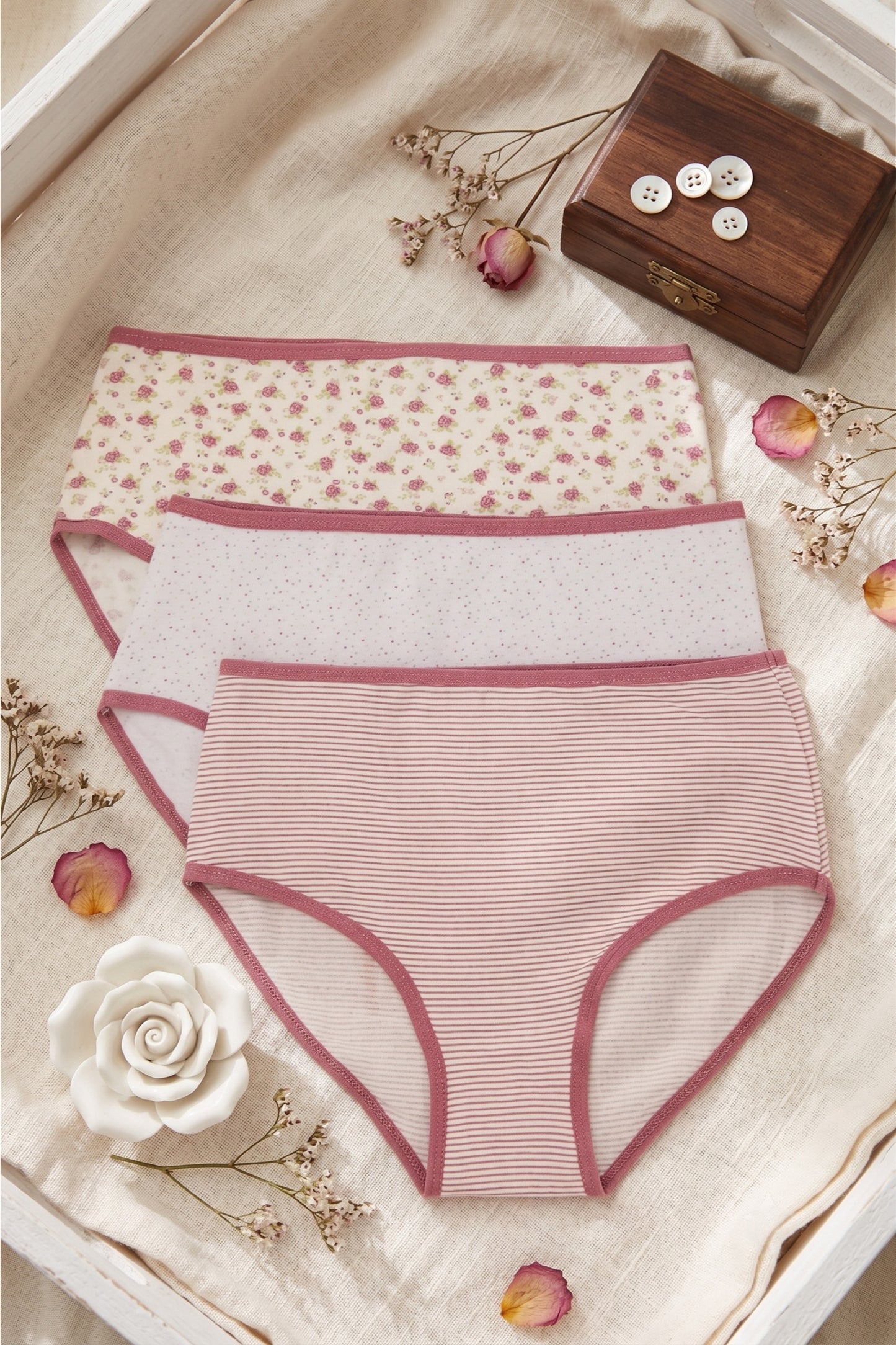 Pack of 3 Colored Brief Panties