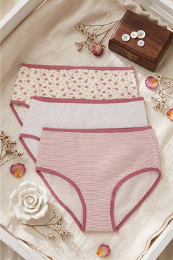 Pack of 3 Colored Brief Panties