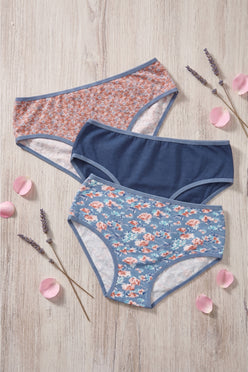 Pack of 3 Colored Brief Panties