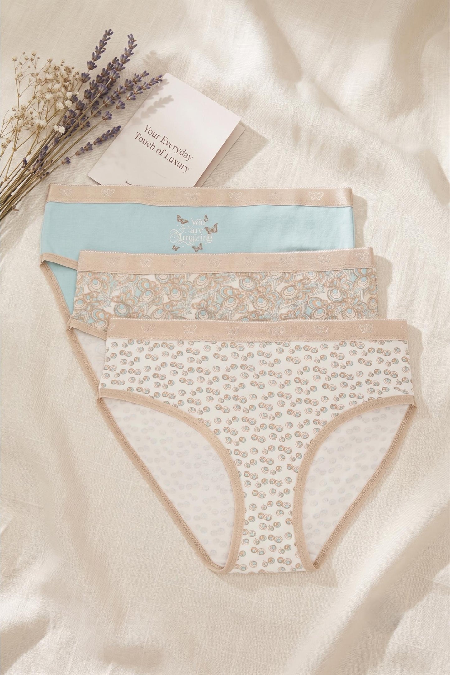 Pack of 3 Colored Brief Panties