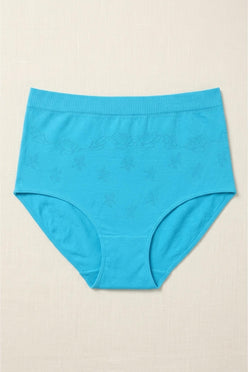 Full Brief Seamless Panty