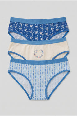 Pack of 3 Colored Brief Panties