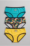 Pack of 3 Colored Brief Panties