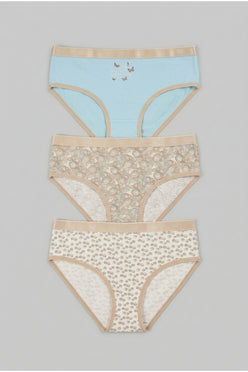 Pack of 3 Colored Brief Panties