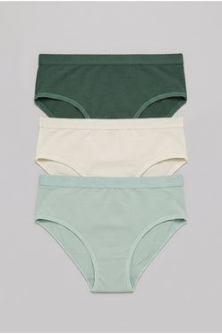 Pack of 3 Colored Brief Panties