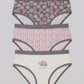 Pack of 3 Colored Brief Panties