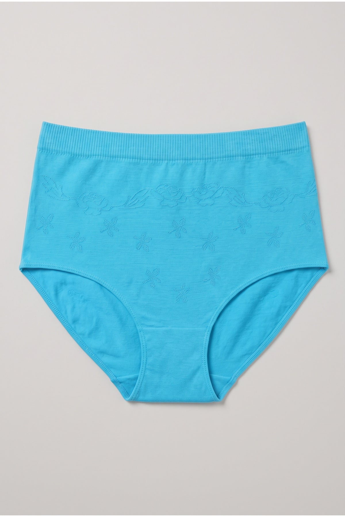 Full Brief Seamless Panty