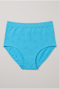 Full Brief Seamless Panty